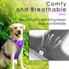 ThinkPet No Pull Harness Set Breathable Sport Harness with Handle