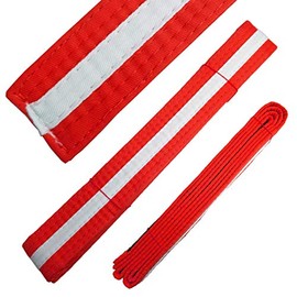 Ace Martial Arts Supply White Stripe Color Belts (Red, 0)