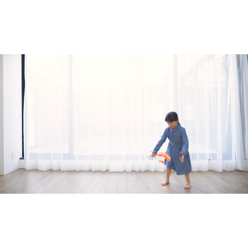 Boomerang airplane Looper Looper (2 aircraft entering)