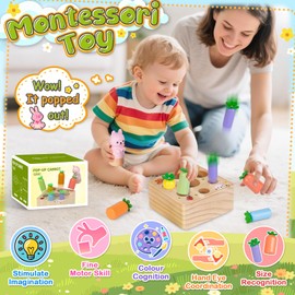 Montessori Wooden Toddler Toys for 1 2 3 Year Old: Sensory Baby Toy 1st Birthday Gifts for Boys Girls Educational Learning Presents for 1-3 Year Olds Kids Babies 12+ Months Fine Motor Skills Games