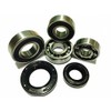 Full Set Gear Bearings and Oil Seals for Peugeot Speedfight