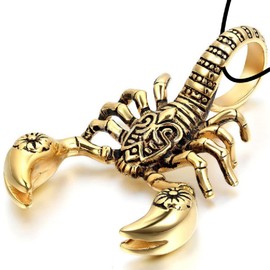 DOCCESTU Stainless Steel Men's Gothic Scorpion Pendant Necklace Scorpion Necklace Gold, Silver, Chain, Pirate Anchor Necklace Skull Necklace Pendant (Gold)
