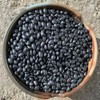 Organic Black Turtle Beans | Heirloom | NON-GMO | USA
