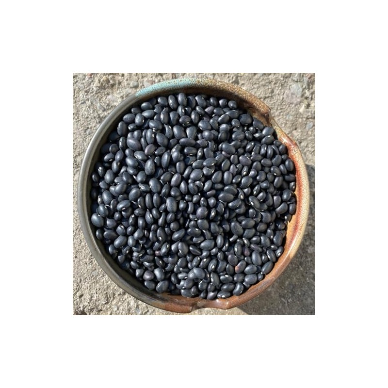 Organic Black Turtle Beans | Heirloom | NON-GMO | USA
