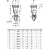 Ganter Standard Elements, Locking Bolt – GN 817, with Lock, Hardened Steel