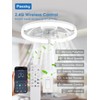 Passky 20” Low Profile Ceiling Fan with Lights and Remote,