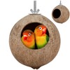 Coconut Shell Birds Nest- Natural Coconut Shell Bird Nest Keep