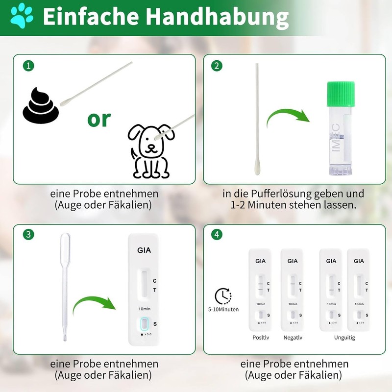 Galle Bear 6 x Giardia Quick Test for Dogs and
