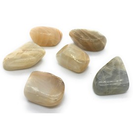 Moonstone Large Crystal Tumble Stone - 1 Pc