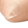 Aspire Homeware Pillow Cases 2 Pack – 100% Brushed Microfiber
