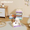 Homsorout Closet Organizers and Storage - 5 Tier Shelf Organizer