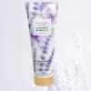 Crema Hidratante Lavender Vanilla Relax Victoria Secret 236ml