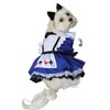 Puppe Looking Glass Alice Wonderland Dress Costume with Tea Cup