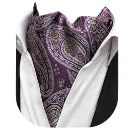 Beaface Men's Cravats Self Tie, Cravat Ties for Men Paisley Floral Jacquard Woven Ascot Tie Wedding Business Party Casual (Purple Paisley)