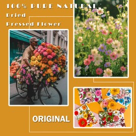 MIKIYA 72Pcs Pressed Dried Flowers for Resin Molds, Real Natural Bulk Dry Floral Leave for DIY Art Crafts, Epoxy Jewelry, Candle, Soap Making, Nails Decors Gifts