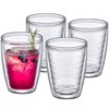Amazing Abby Alaska 16-Ounce Insulated Tumblers (Set of 4), Double-Wall