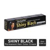 Sta Sof Fro Permanent Hair Colour Cream Tube, Shiny Black,