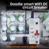 Smart WiFi Circuit Breaker Voice Speaker Mobile Remote Control 1P