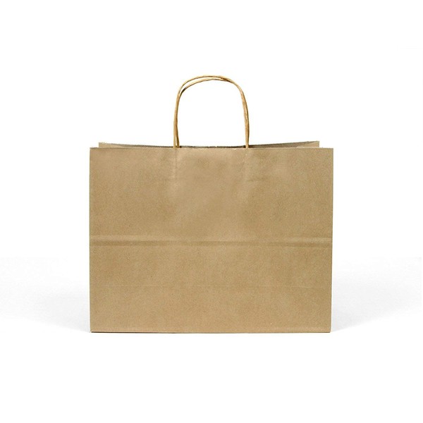 GIFT EXPRESSIONS Kraft Paper Bags, Kraft Gift Bag, Premium Quality Paper (Sturdy & Thicker), Biodegradable, Party Bags, Shopping Bag, Kraft Bags Brown,Large Size Bags(24 CT Wide, Brown),