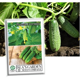 Pioneer Cucumber Seeds for Planting, 150 Heirloom Seeds Per Packet, (Isla's Garden Seeds), Non GMO Seeds, Botanical Name: Cucumis sativus, Packaged for 2024 Growing Season