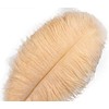 Crenze Ostrich Feathers 12-14 Inches (30-35 cm) for Home Wedding