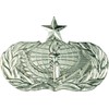 Air Force No Shine Senior Services Badge