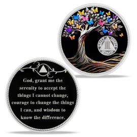 Imasoner Celebrate Sobriety Milestones with 2 Year AA Sobriety Coin - Tree of Life Medallion for Men and Women - 2 Year Alcoholics Anonymous Recovery Chip with Capsule, Display & Card