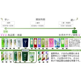 八女茶 天雫の彩 ( あましずくのいろどり ) 100g 八女煎茶 おいしい お茶 JAふくおか八女