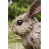 Hi-Line Gift 87650-D Small Driftwood Rabbit Statue