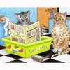CafePress Cat 464 Notecards (Set Of 20) 4.25" x 5.5"