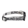 CENWA Blind Dog Collar Blind Dog Alerts Blind Dogs Special