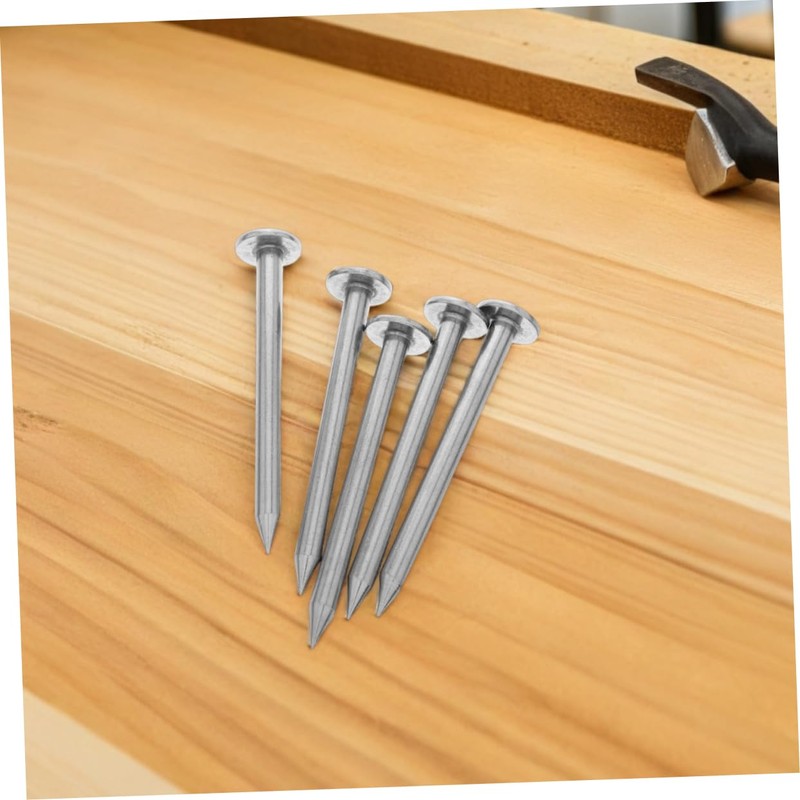 Kisangel 6pcs Stainless Steel Survey Spikes Heavy Duty Flat Head