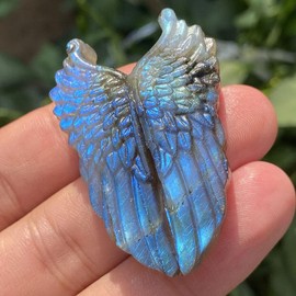 1PC Natural Labradorite Hand Carved The Wing Skull Quartz Crystal Healing Reiki