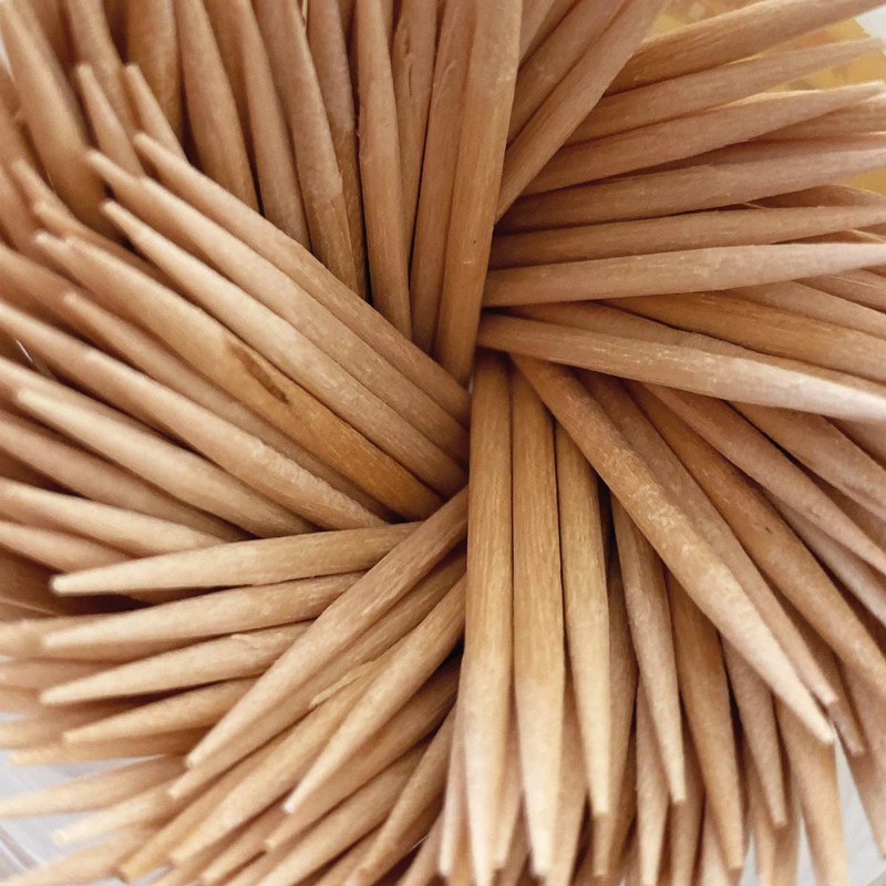 Premium Toothpicks (Pack of 1500) Untreated Wood Toothpicks for Dental