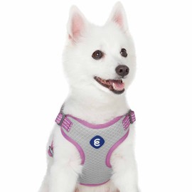 Blueberry Pet Essentials Back to Basics Reflective Dog Harness Vest, Mauve Orchid, Large, Adjustable Harnesses for Dogs