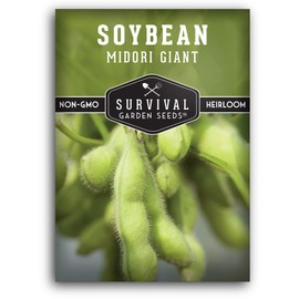 Midori Giant Soybean Seeds for Planting - Grow Protein-Rich Edamame Pods in Your Home Vegetable Garden - Non-GMO Heirloom Soy Bean - Survival Garden Seeds (1 Pack)