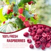 Freeze Dried Raspberries, Freeze Dried Fruit, 55G/1.94OZ