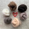 Heidifeathers 'Creature Mix' Carded Wool Slivers