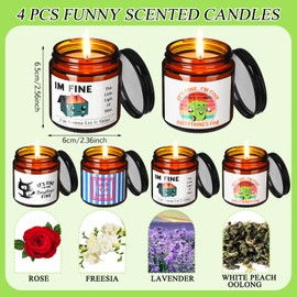 Conelist 4 Pcs Funny Scented 3.5 oz 4 Fragrances Candles Gifts for Women Men Coworkers Friends Birthday Christmas Party Favors Employee Appreciation Gifts