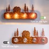 TOCHIC Rustic Vanity Lights Over Mirror 4 Lights Dimmable Cabin