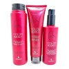 Lendan Lendan Protector Color Shampoo + Acondicionador + Mask