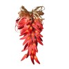 Elegani 10 LED Chili Pepper String Lights – Warm White
