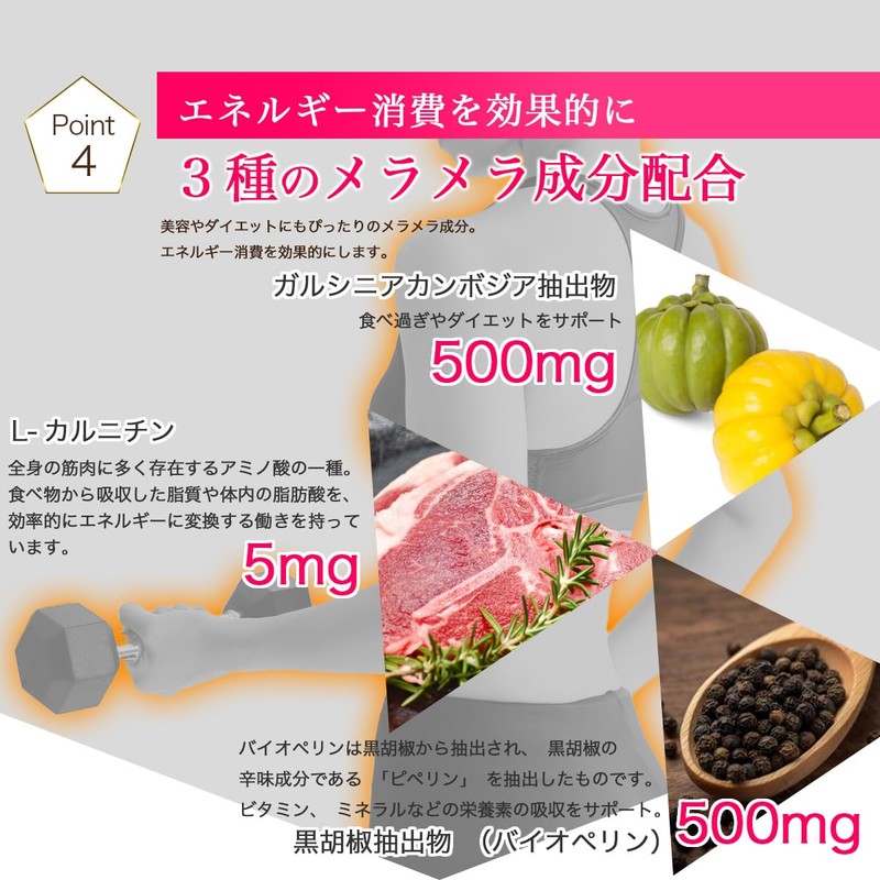 SoyVegePROTEIN 15 Packets, Plant Fermented Extract, Lactic Acid Bacteria, Bifidobacteria