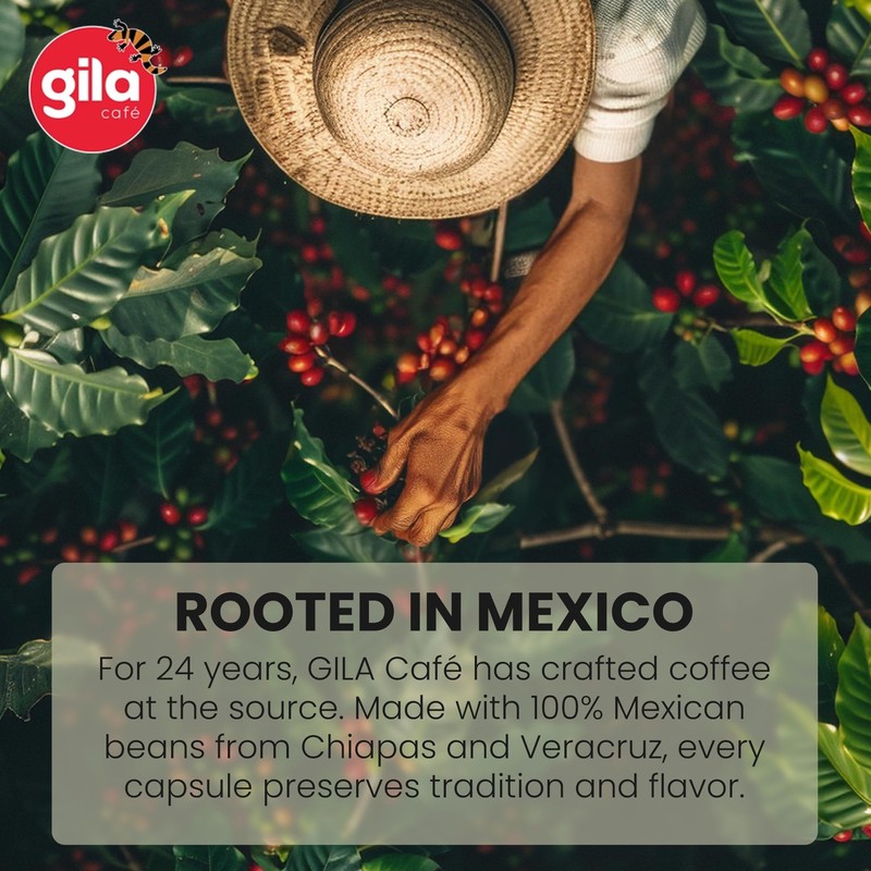 GILA Café Mexico Aluminum Coffee Capsules – Dark Roast Espresso
