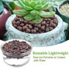 FANTIAN 2 lbs Clay Pebbles for Plants, 8-12 mm Leca