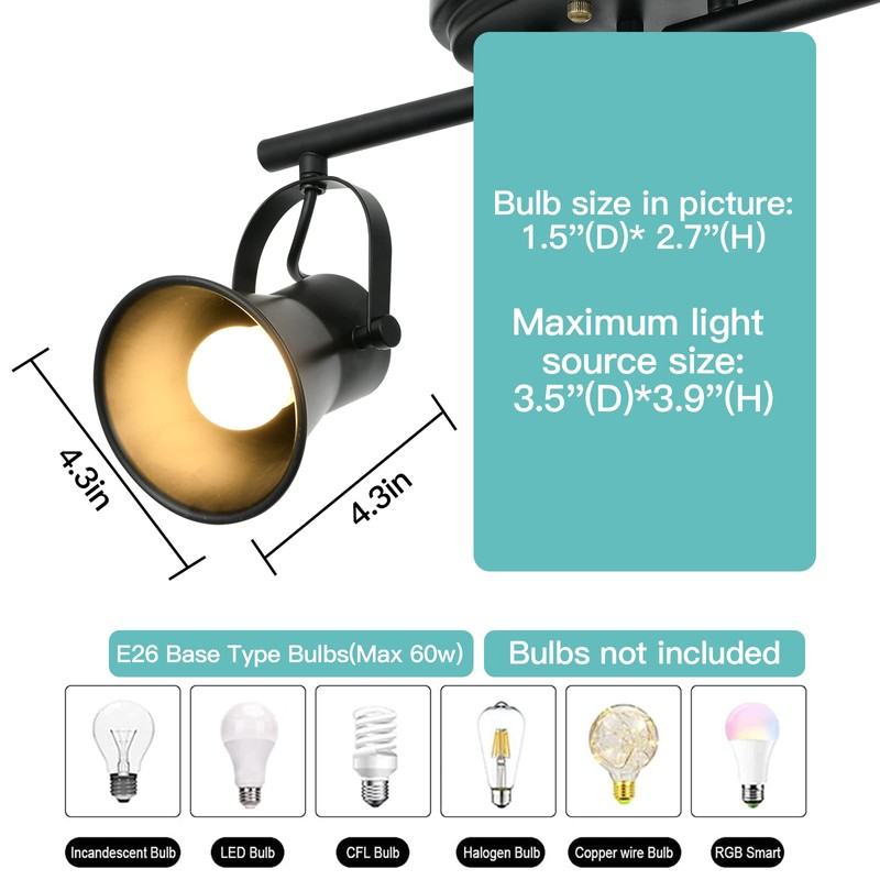 SEEBLEN 4-Light Track Lighting Kit, Directional Ceiling Light, Industrial Black