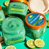 TREE HUT, Coconut Lime Shea Sugar Scrub, Exfoliante Corporal de