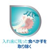 Polident Denture and Mouthpiece Specific Brush (Color cannot be selected)