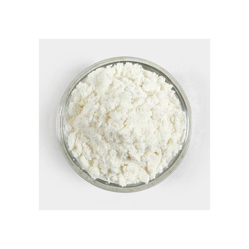 O'Herb Whey Protein Isolate Powder 500g Protein Supplement / 분리