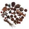 Oberle 80582 Christmas Pine Cones Cones and Accessories Various Sizes